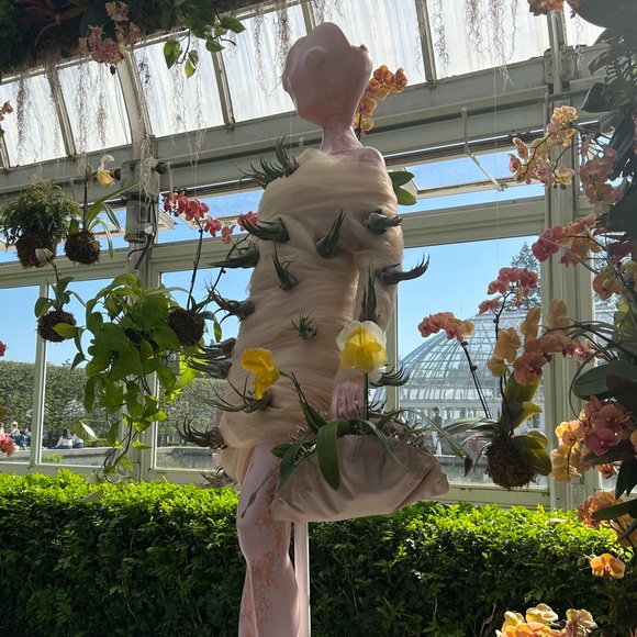 ❤️ LIKE to be notified when I go LIVE ❤️ - Picture 3 of 16